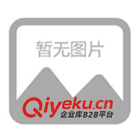 塑料打火機(jī)、金屬打火機(jī)、廣告打火機(jī)、磨砂打火機(jī)(圖)